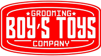 boys toys купить оптом в Донецке (1)